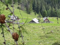 2019-Goericher Alm (7)